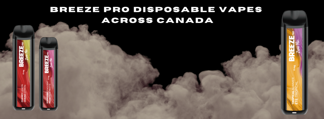 The Ultimate Guide to Buying Breeze Pro Disposable Vapes Across Canada: Your Go-To Vape in Every Major City