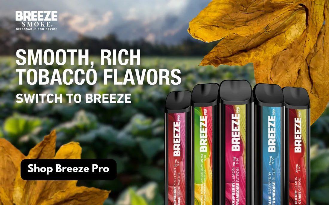 Try Breeze Tobacco Disposable Vapes for a Smoother Transition SHOP BREEZE Try Breeze Tobacco Disposable Vapes for a Smoother Transition SHOP BREEZE