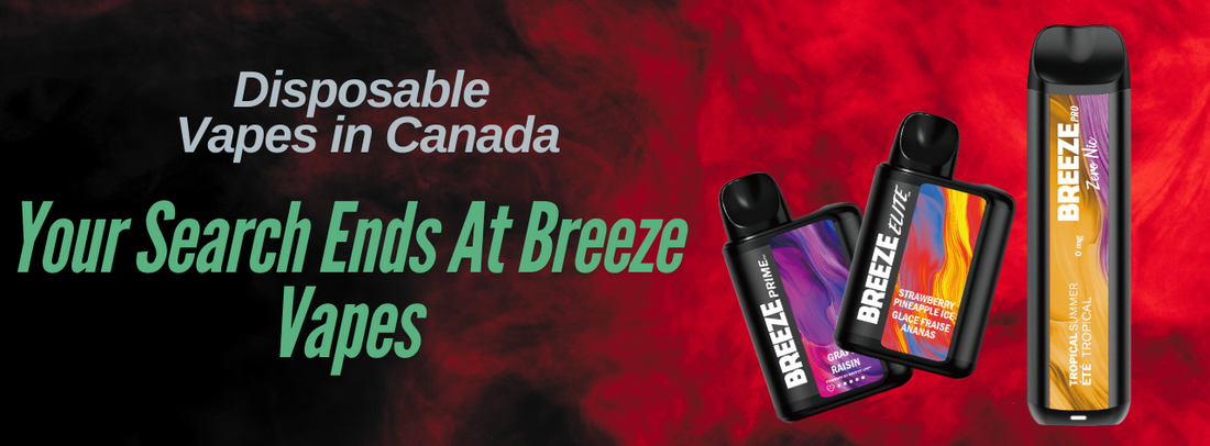 Disposable Vapes in Canada Your Search Ends At Breeze Vapes